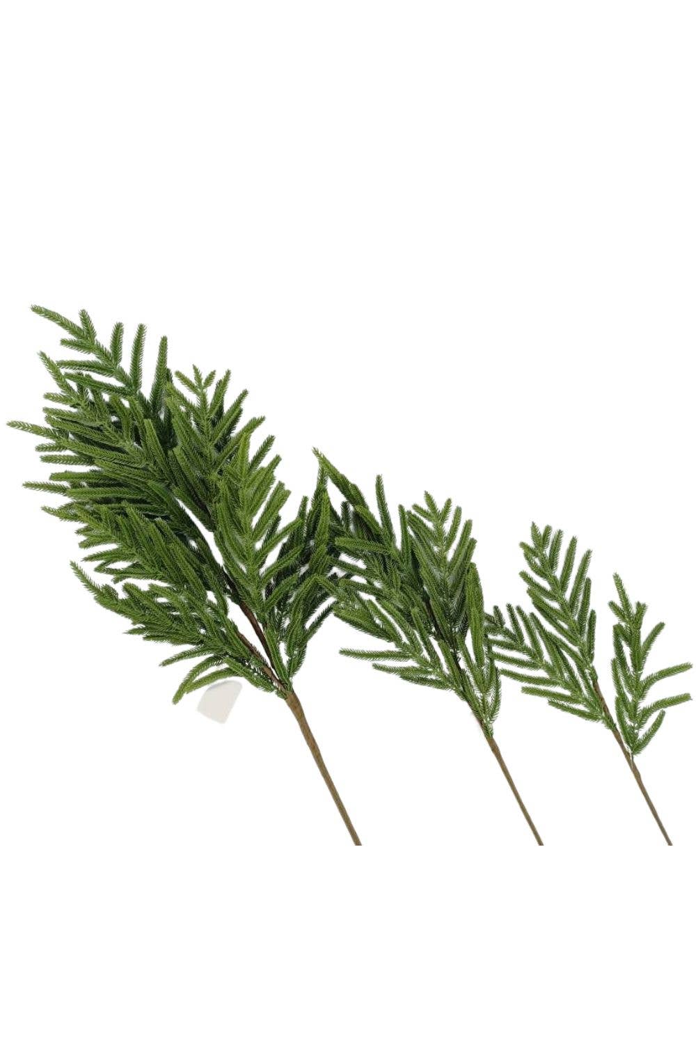 Faux Norfolk Pine stems