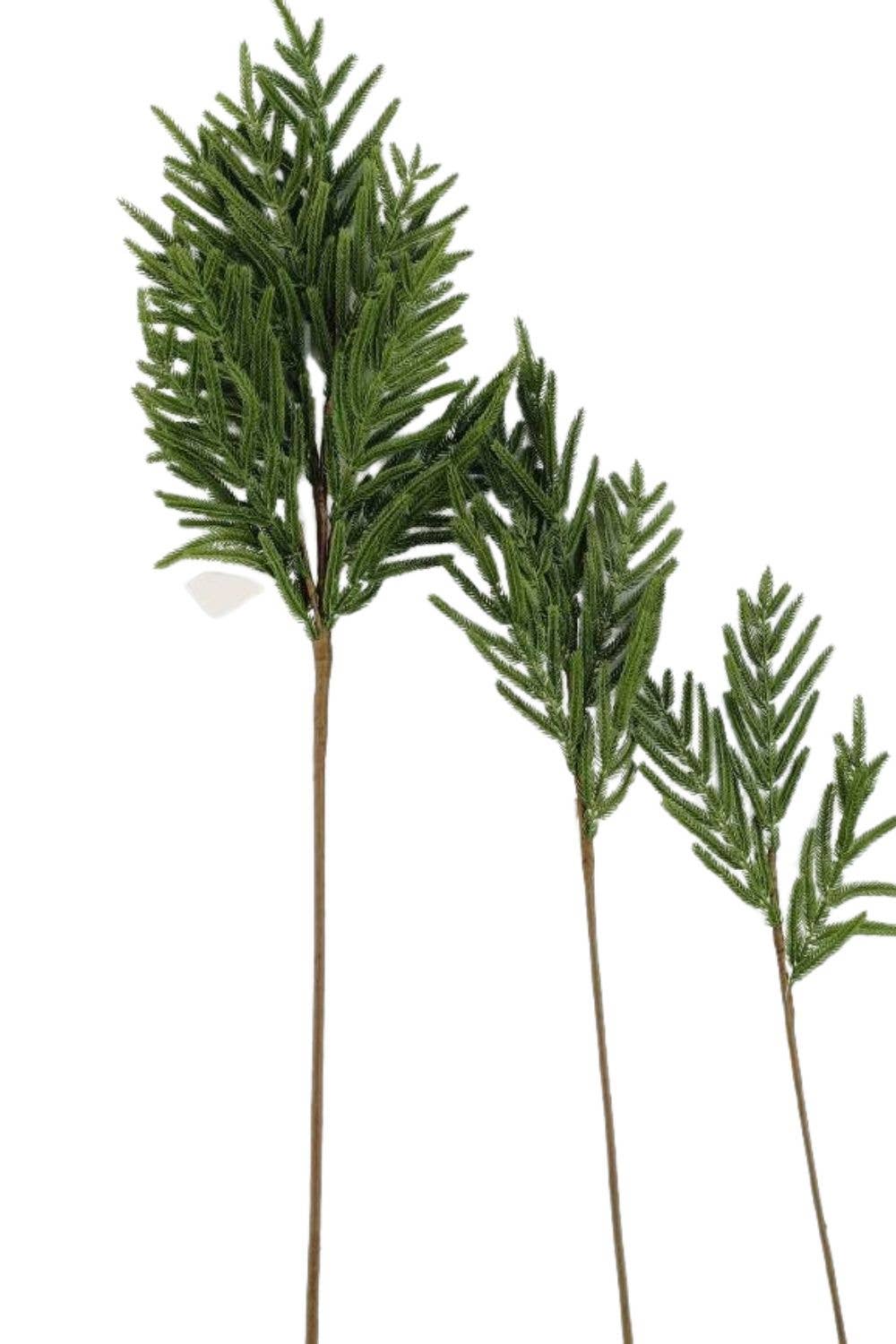 Faux Norfolk Pine stems