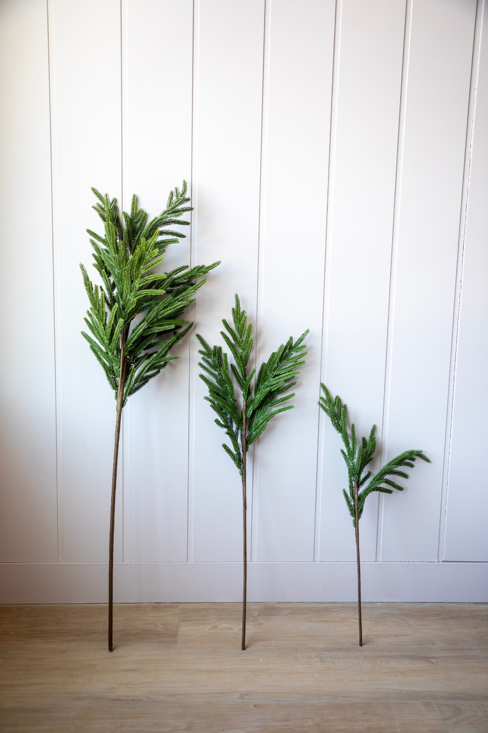 Faux Norfolk Pine stems