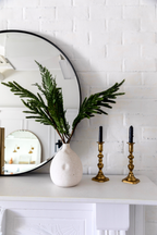 Faux Norfolk Pine stems
