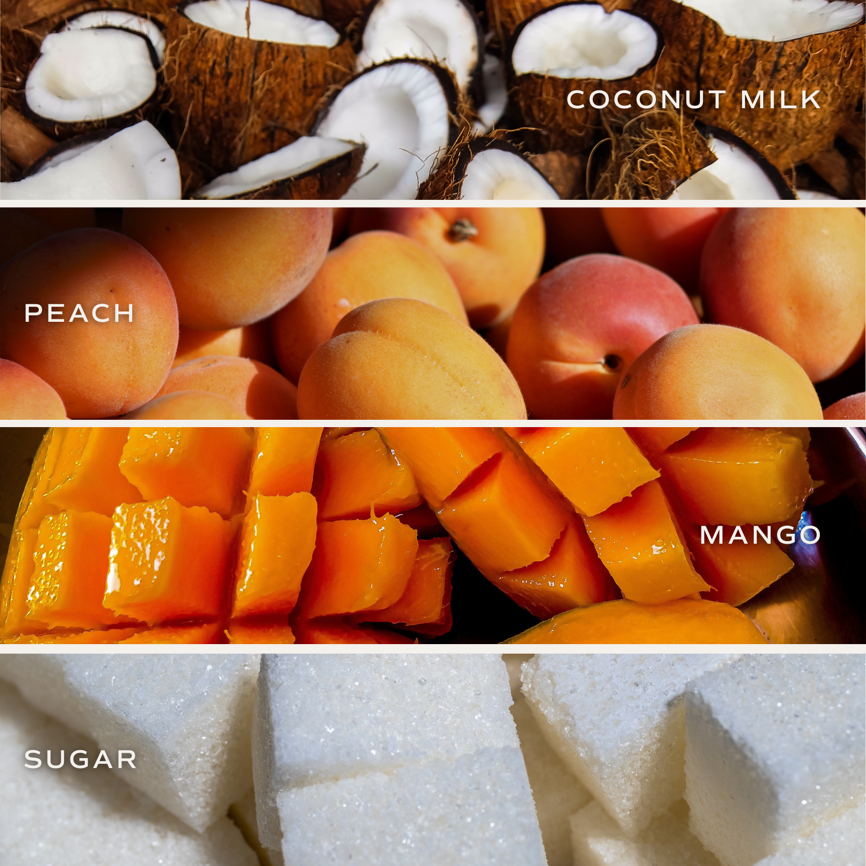 Mango and Coconut 9 oz Soy Candle