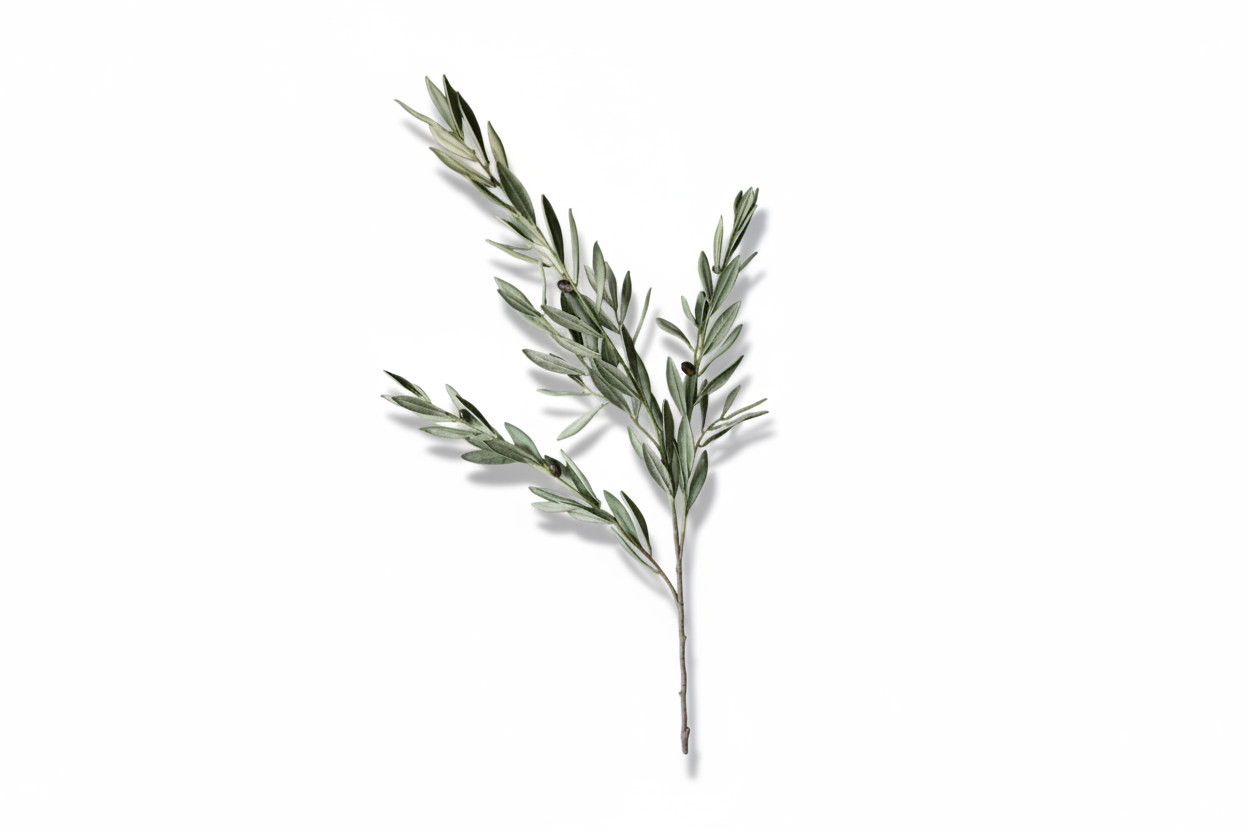 Olive Branches Green Faux Stems